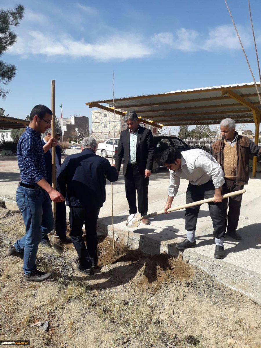 درختکاری 12